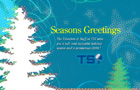 2007 TSI Christmas eCard